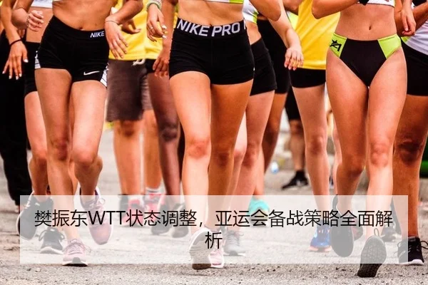 樊振东WTT状态调整，亚运会备战策略全面解析
